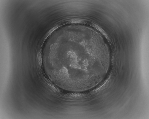 X0000116480829200912161250