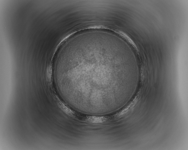 X0000116480831200912161250