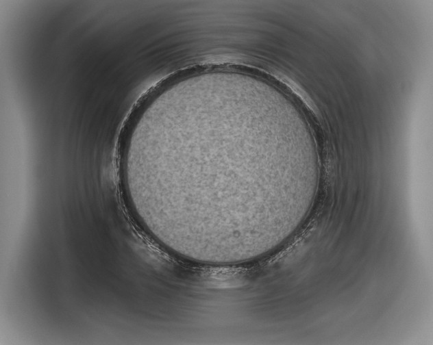 X0000116480832200912161250