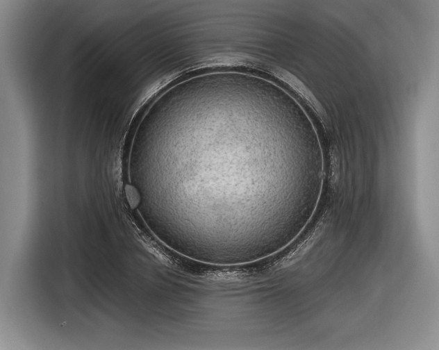 X0000116480834200912161250