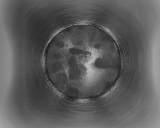 X0000116480835200912161250