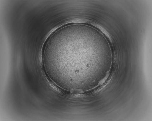 X0000116480837200912161250