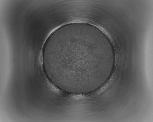 X0000116480838200912161250