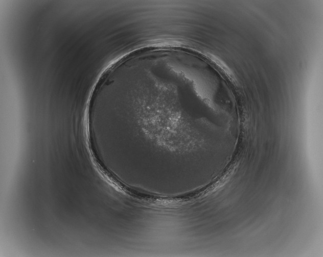 X0000116480840200912161250