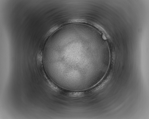 X0000116480841200912161250