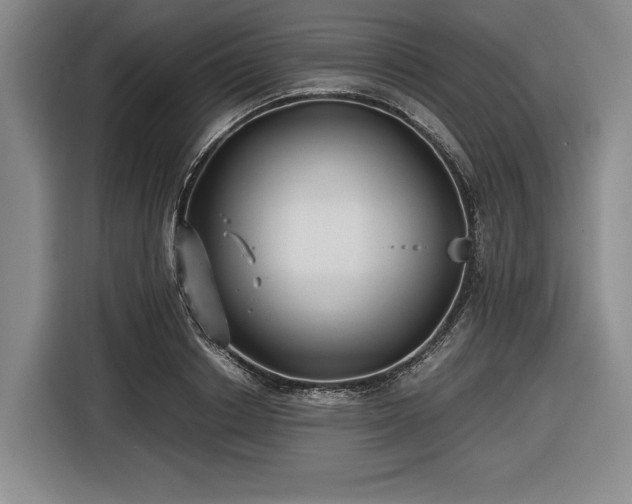 X0000116480842200912161250