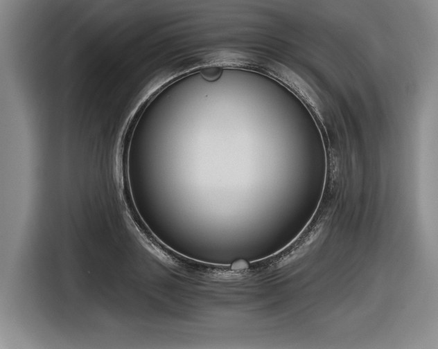 X0000116480843200912161250