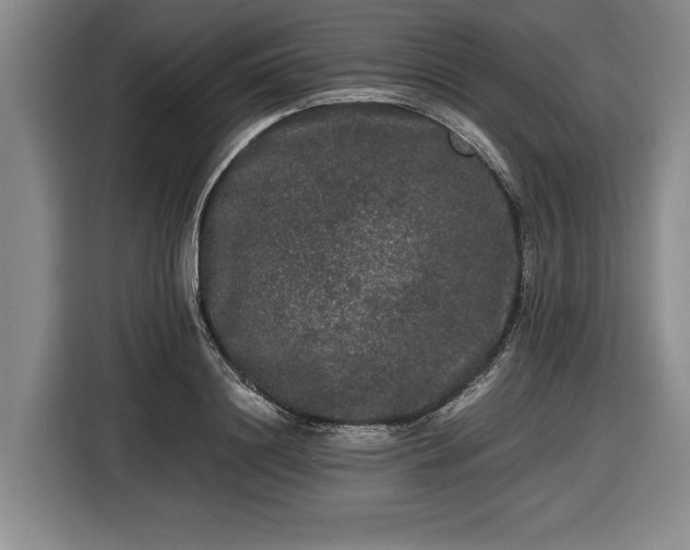 X0000116480844200912161250