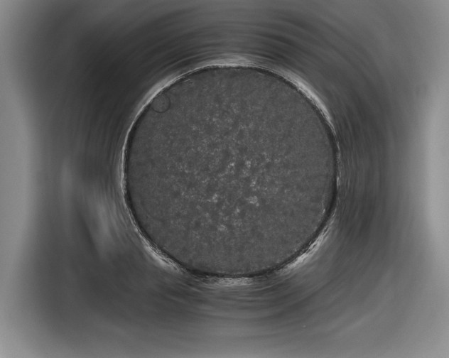 X0000116480845200912161250