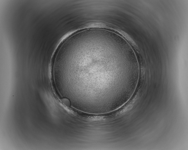 X0000116480846200912161250