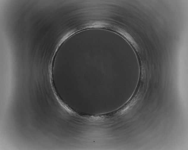 X0000116480850200912161251