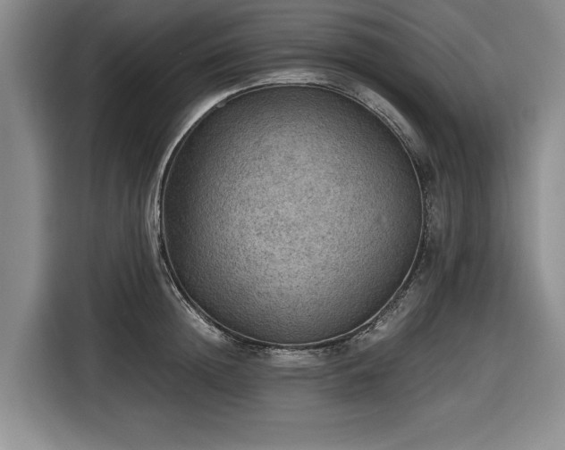 X0000116480852200912161251