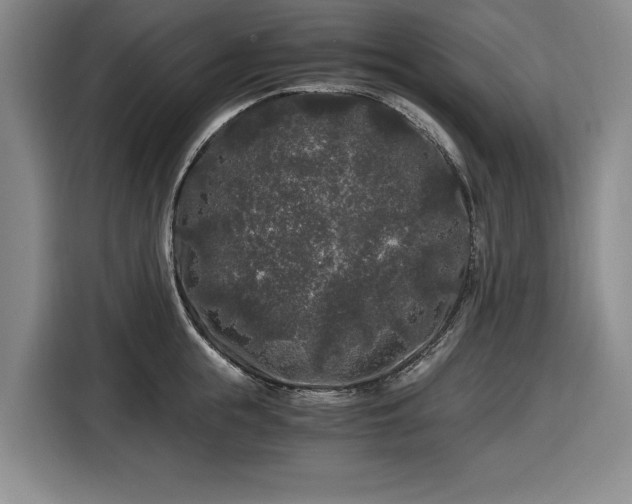 X0000116480855200912161251