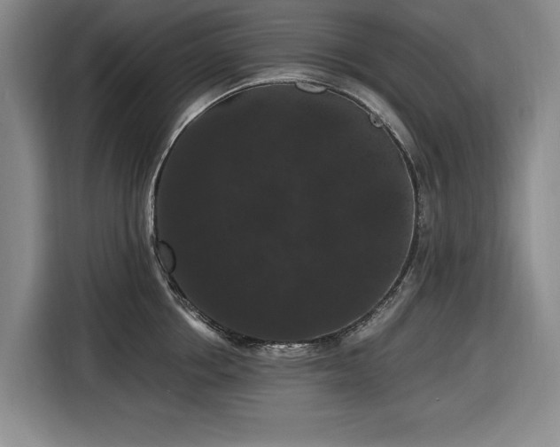 X0000116480858200912161251