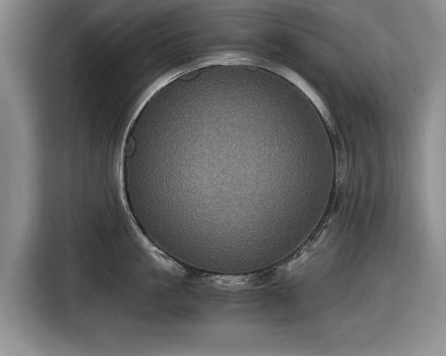 X0000116480861200912161251