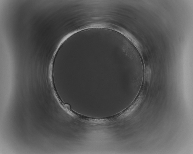 X0000116480862200912161251