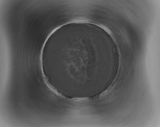 X0000116480864200912161251