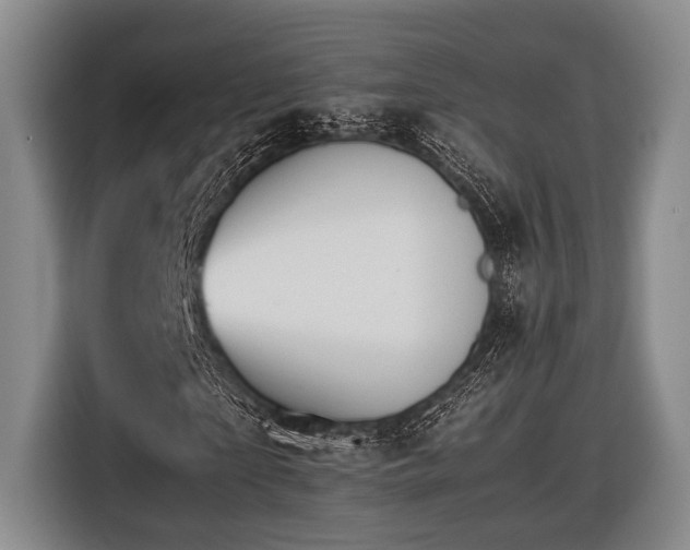 X0000116480865200912161250