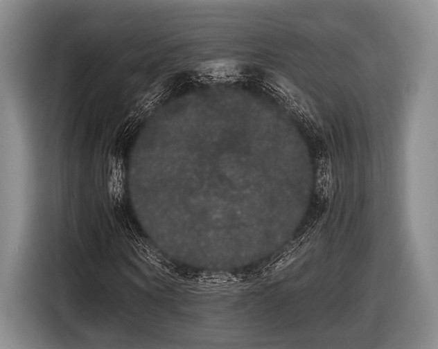 X0000116480866200912161250