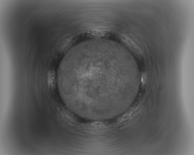 X0000116480867200912161250