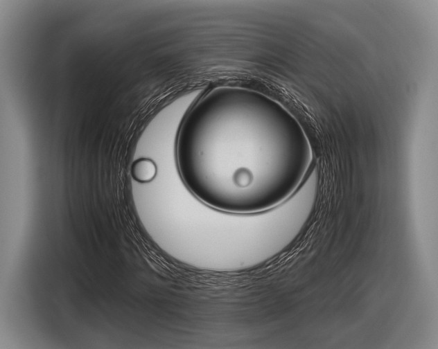 X0000116480868200912161250