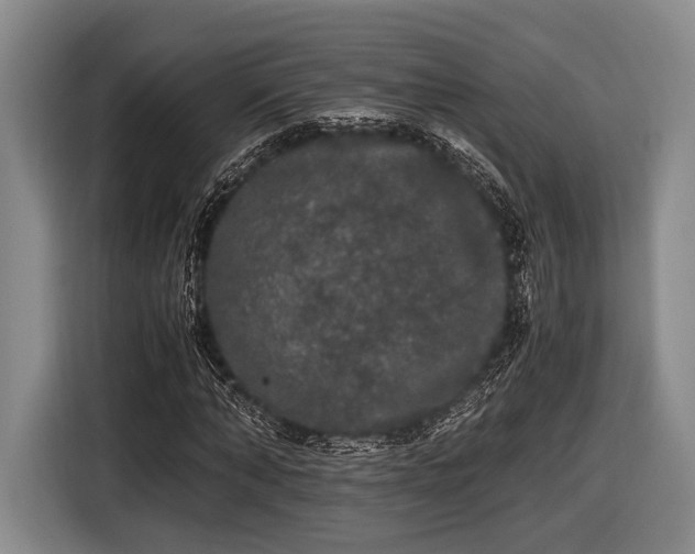 X0000116480870200912161250