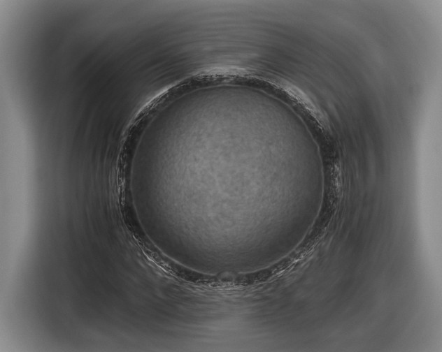 X0000116480872200912161250