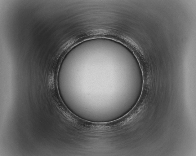 X0000116480873200912161250