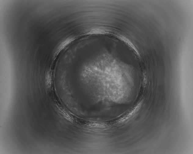 X0000116480874200912161250