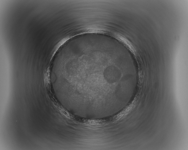 X0000116480875200912161250