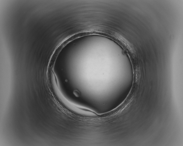 X0000116480876200912161250