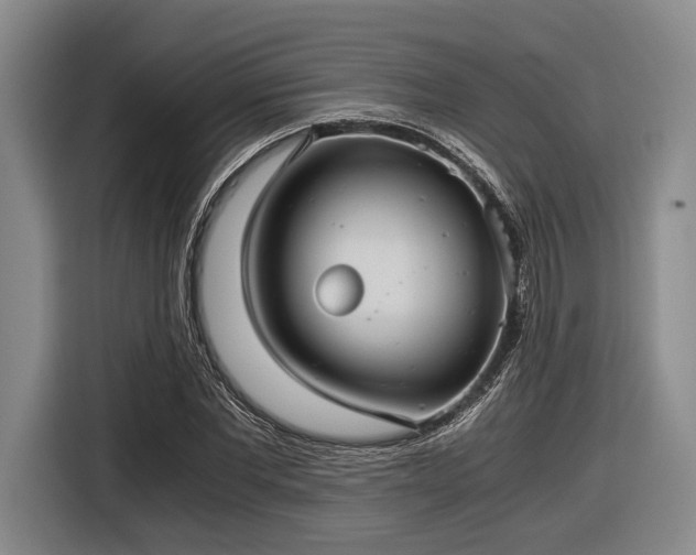 X0000116480877200912161250