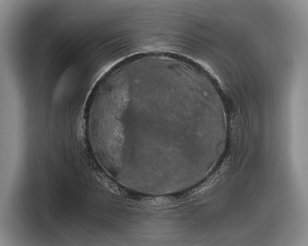 X0000116480879200912161250