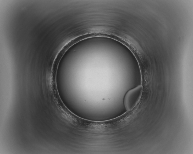 X0000116480880200912161250