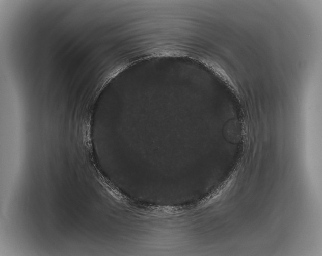 X0000116480881200912161250