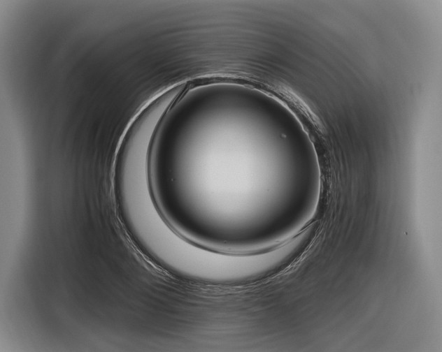 X0000116480884200912161250