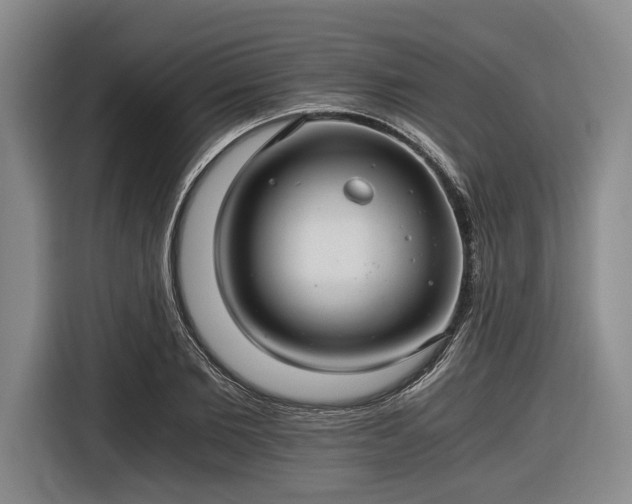 X0000116480885200912161250