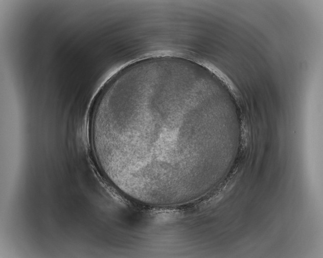 X0000116480886200912161250