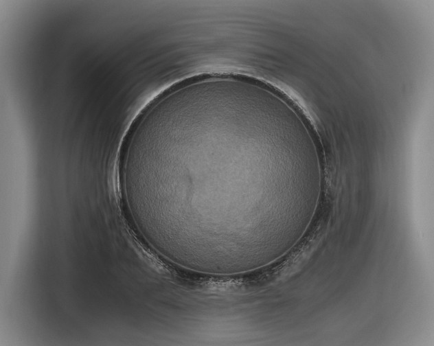 X0000116480887200912161250