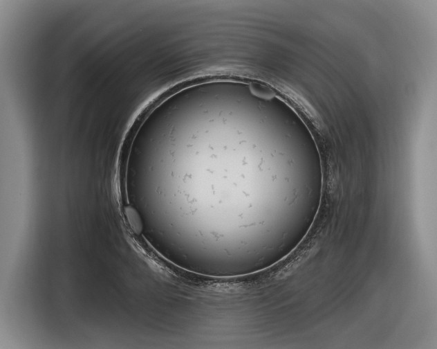 X0000116480888200912161250