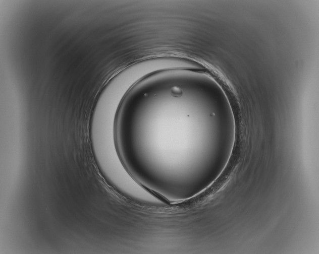 X0000116480889200912161250