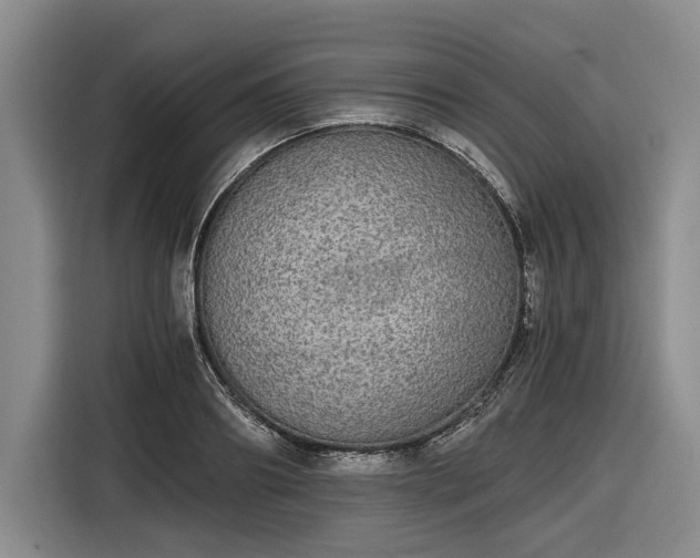 X0000116480890200912161250