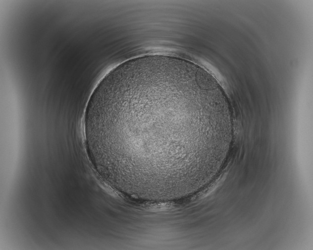 X0000116480891200912161250