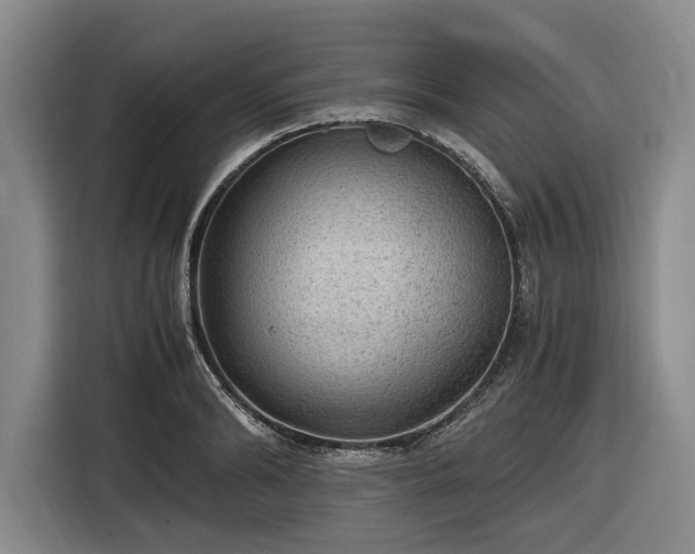 X0000116480894200912161250