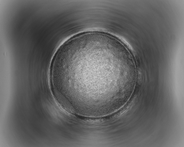 X0000116480895200912161250