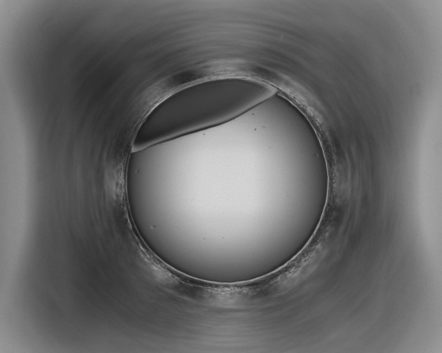 X0000116480897200912161250