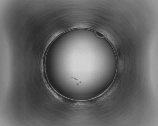 X0000116480898200912161250