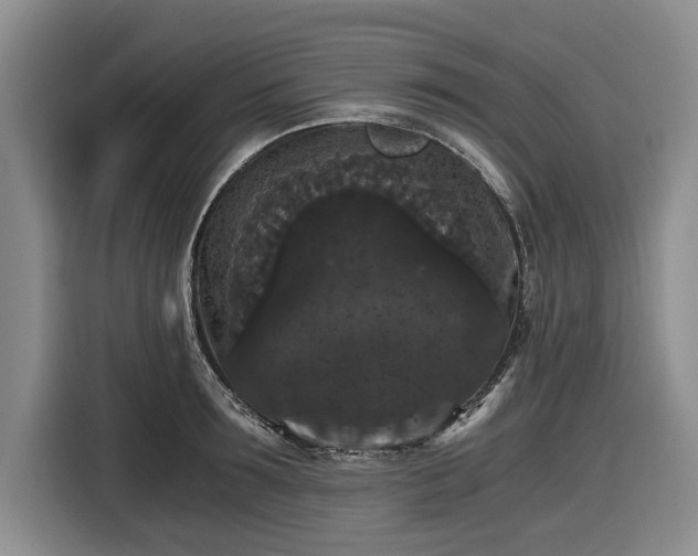 X0000116480899200912161250