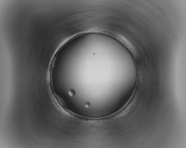 X0000116480900200912161250