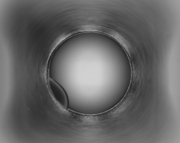 X0000116480901200912161250